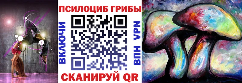 Галлюциногенные грибы MAGIC MUSHROOMS  магазин продажи   Люберцы 